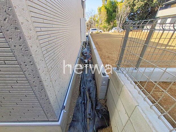 撮影日(2026-01-23 00:00:00)