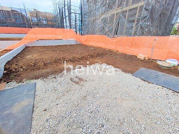 撮影日(2025-11-11 00:00:00)