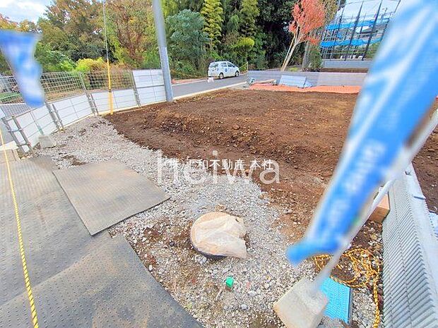 撮影日(2025-11-11 00:00:00)