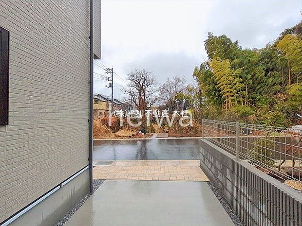 撮影日(2026-02-25 00:00:00)