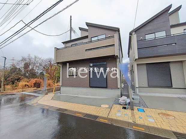 撮影日(2026-02-25 00:00:00)