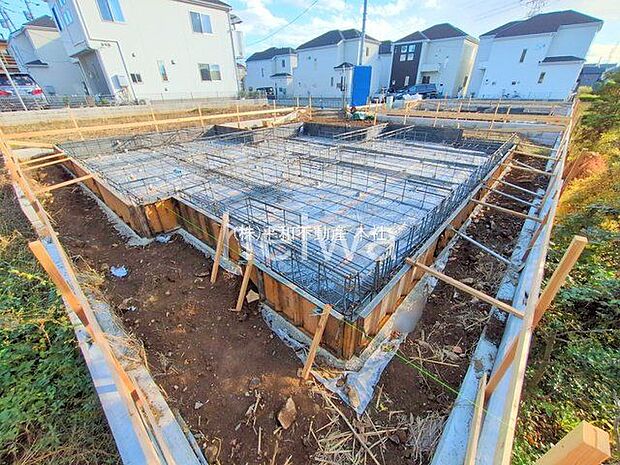 撮影日(2025-11-10 00:00:00)