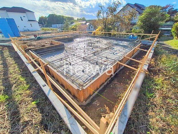 撮影日(2025-11-10 00:00:00)