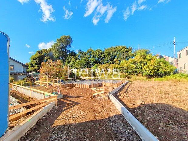 撮影日(2025-11-10 00:00:00)