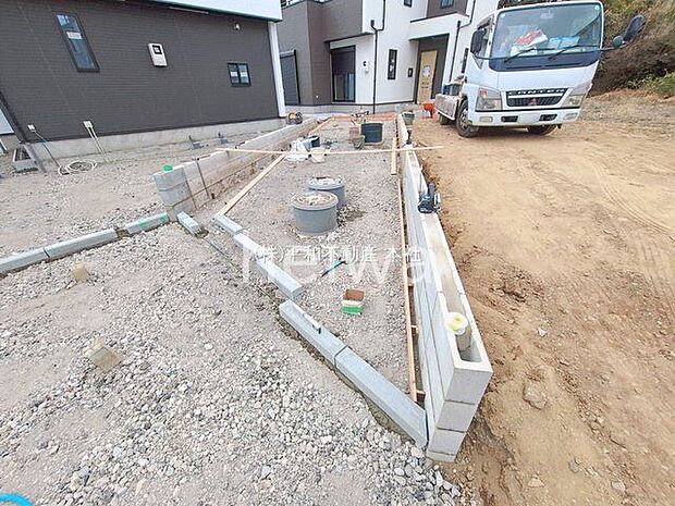 撮影日(2026-01-28 00:00:00)