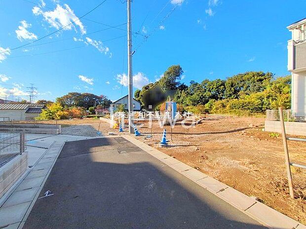 撮影日(2025-11-10)