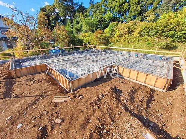 撮影日(2025-11-10 00:00:00)