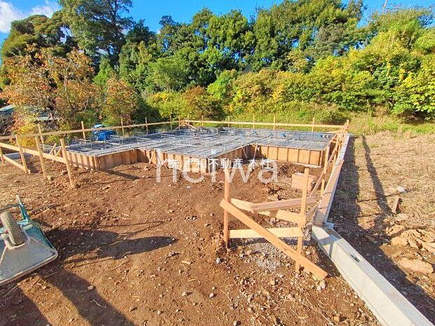 撮影日(2025-11-10 00:00:00)