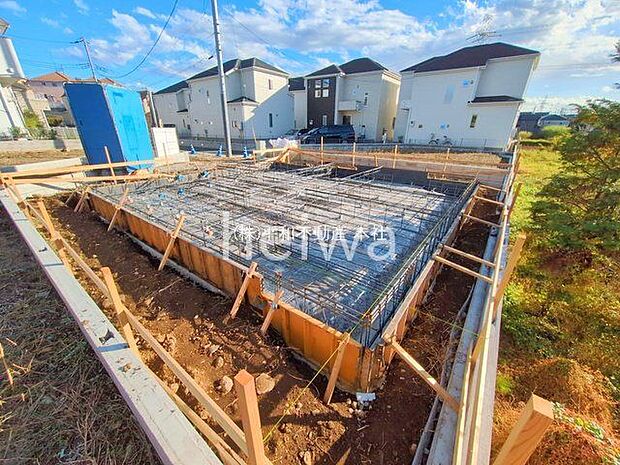 撮影日(2025-11-10 00:00:00)