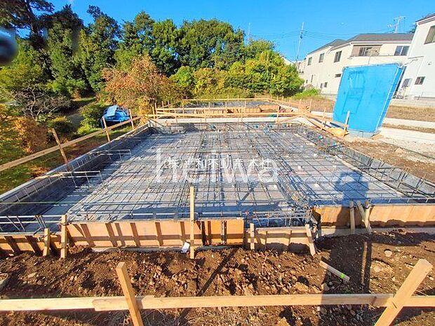 撮影日(2025-11-10 00:00:00)