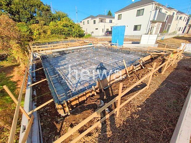 撮影日(2025-11-10 00:00:00)