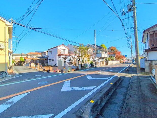 撮影日(2025-11-10)