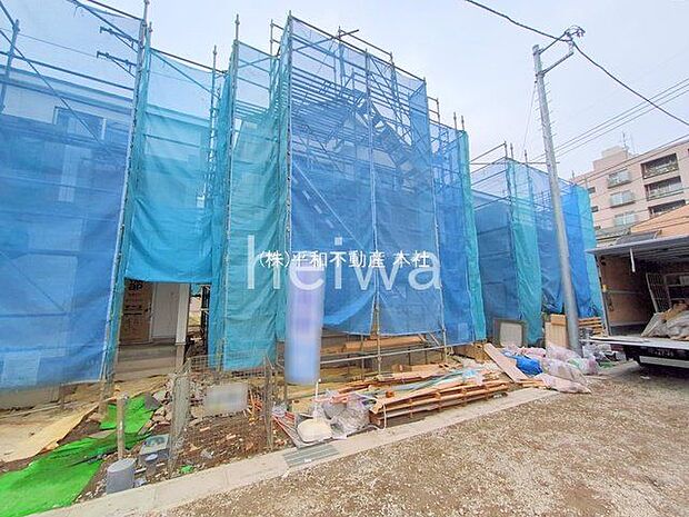 撮影日(2025-10-31 00:00:00)