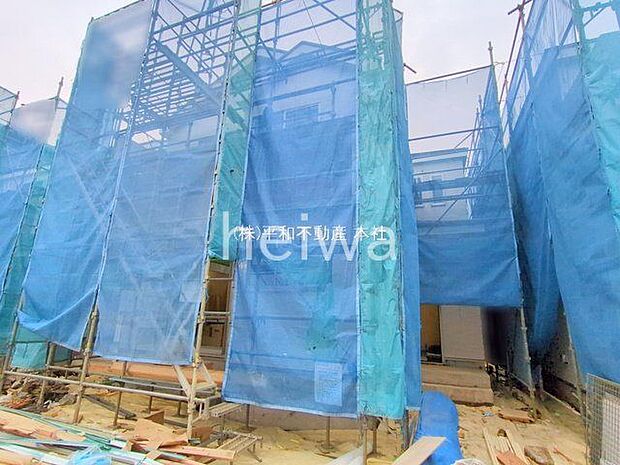 撮影日(2025-10-31 00:00:00)