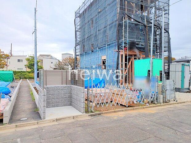 撮影日(2025-11-06 00:00:00)