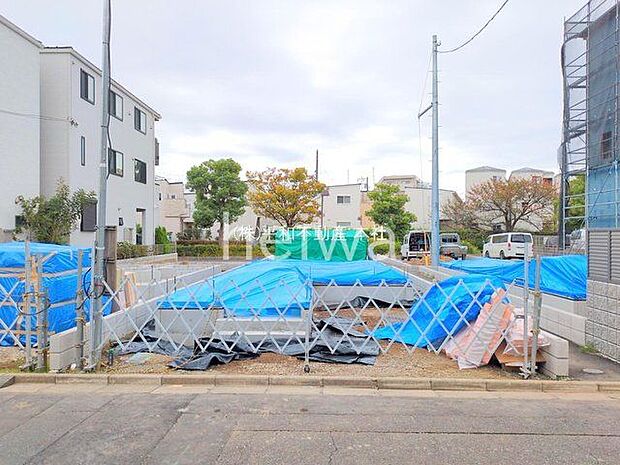 撮影日(2025-11-06 00:00:00)