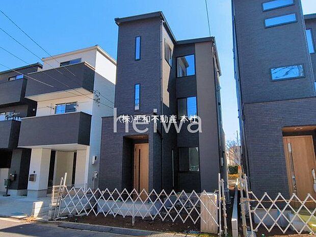 撮影日(2026-03-11)