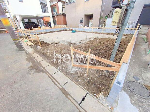 撮影日(2025-11-11 00:00:00)