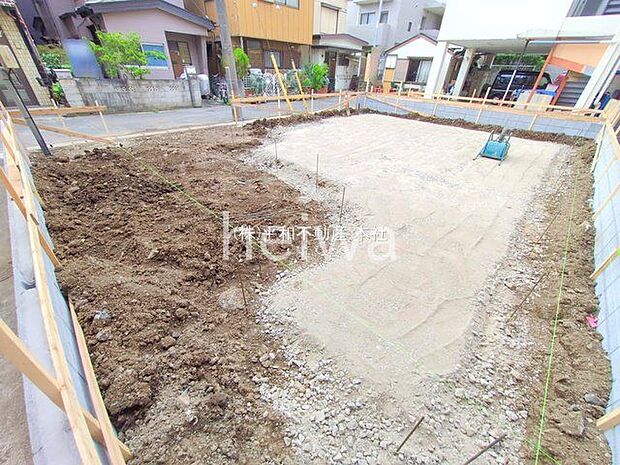 撮影日(2025-11-11 00:00:00)