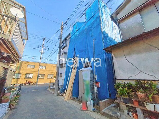 撮影日(2026-01-27 00:00:00)