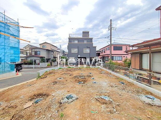 撮影日(2025-11-13 00:00:00)