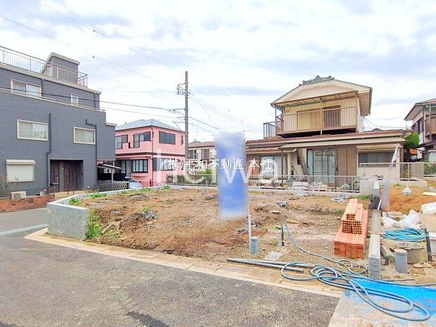 撮影日(2025-11-13 00:00:00)