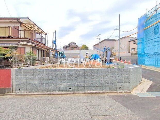 撮影日(2025-11-13 00:00:00)