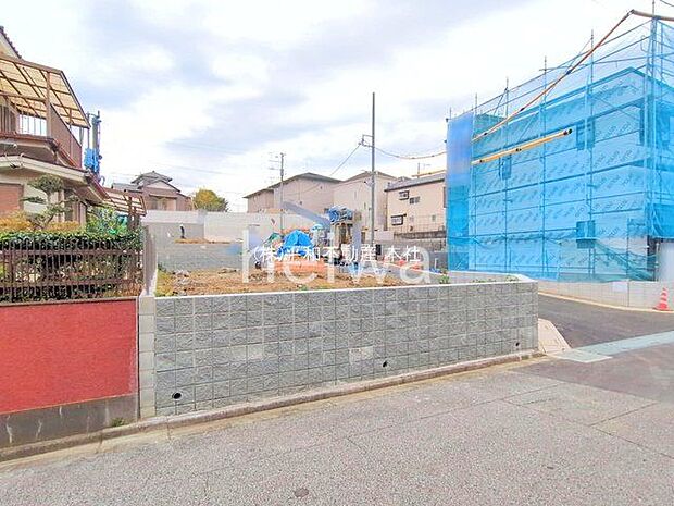 撮影日(2025-11-13 00:00:00)