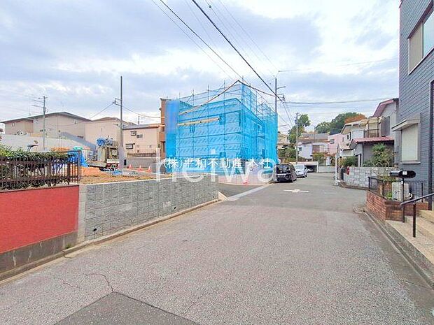 撮影日(2025-11-13 00:00:00)