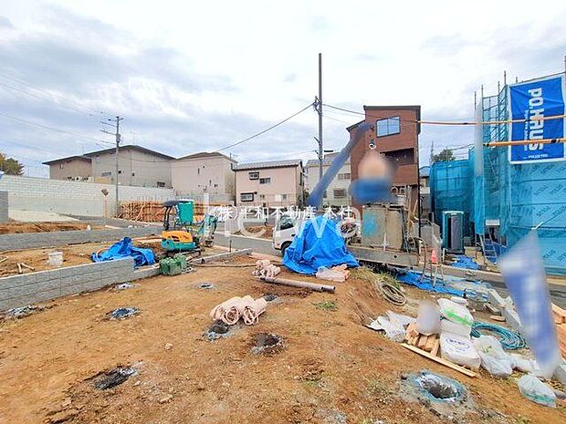 撮影日(2025-11-13 00:00:00)