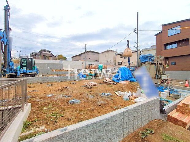 撮影日(2025-11-13 00:00:00)