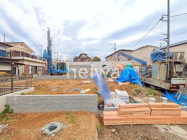 撮影日(2025-11-13 00:00:00)