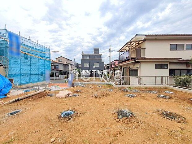 撮影日(2025-11-13 00:00:00)