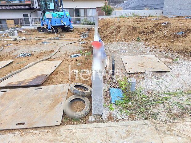 撮影日(2025-11-13 00:00:00)