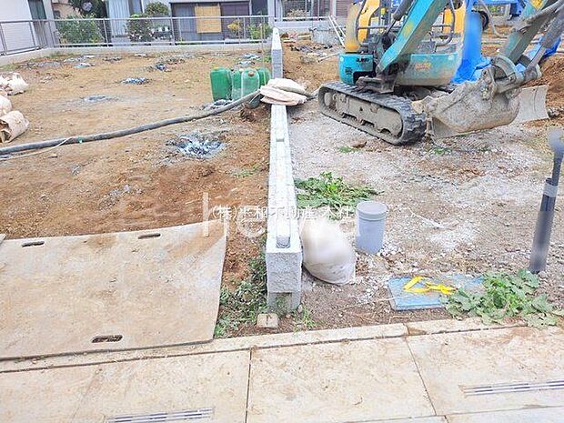 撮影日(2025-11-13 00:00:00)