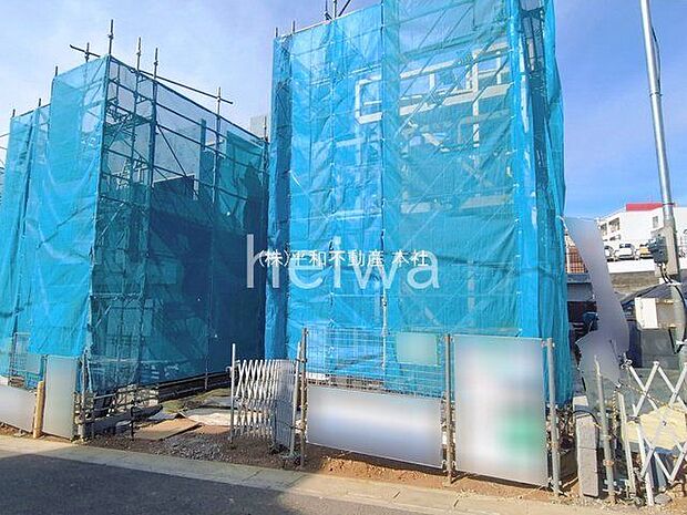 撮影日(2026-01-29 00:00:00)