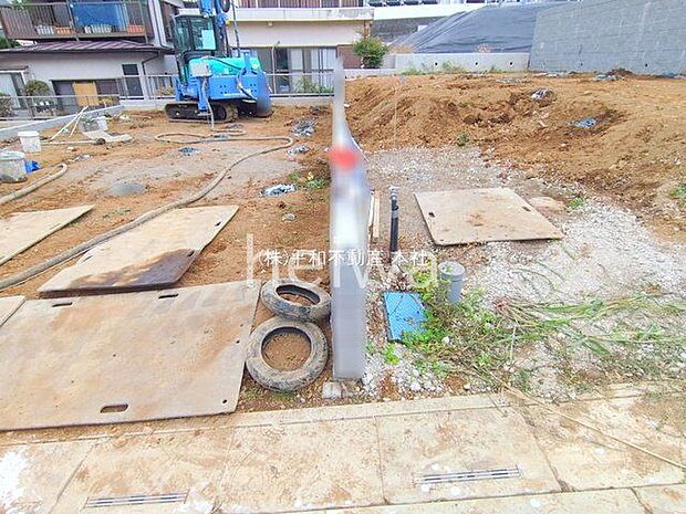 撮影日(2025-11-13 00:00:00)