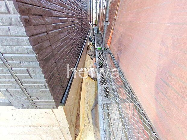 撮影日(2025-12-09 00:00:00)