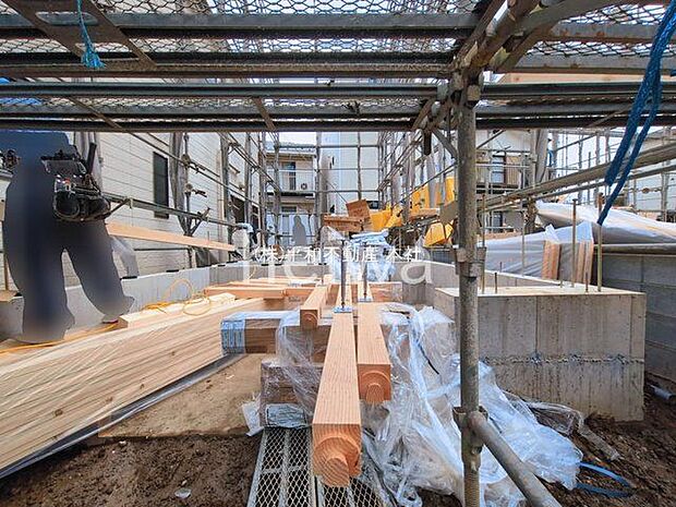 撮影日(2026-03-02 00:00:00)