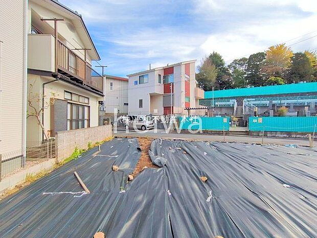 撮影日(2025-11-12 00:00:00)