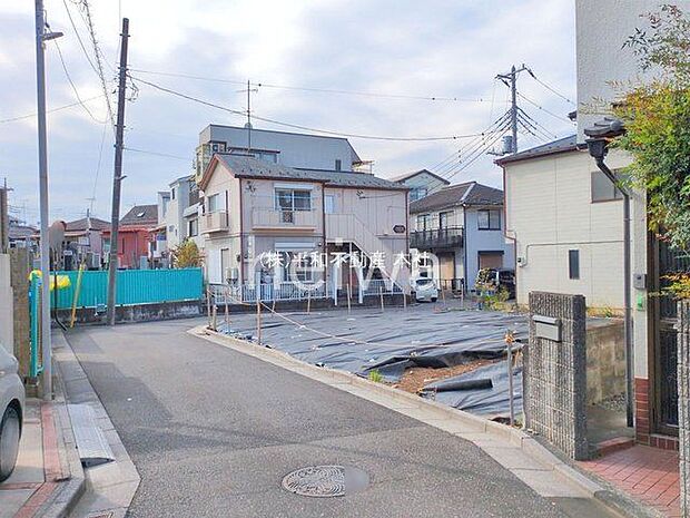 撮影日(2025-11-12 00:00:00)