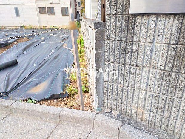 撮影日(2025-11-12 00:00:00)