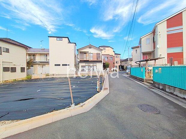 撮影日(2025-11-12 00:00:00)