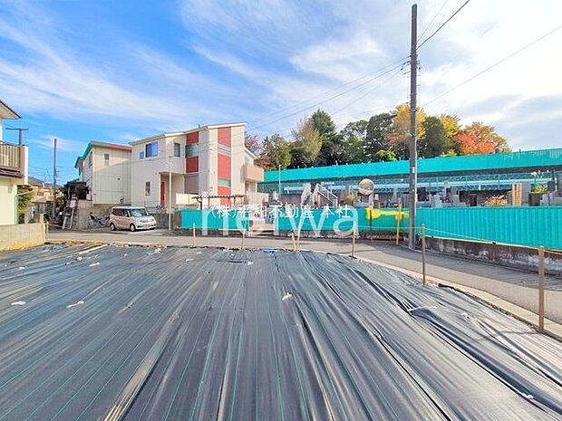 撮影日(2025-11-12 00:00:00)