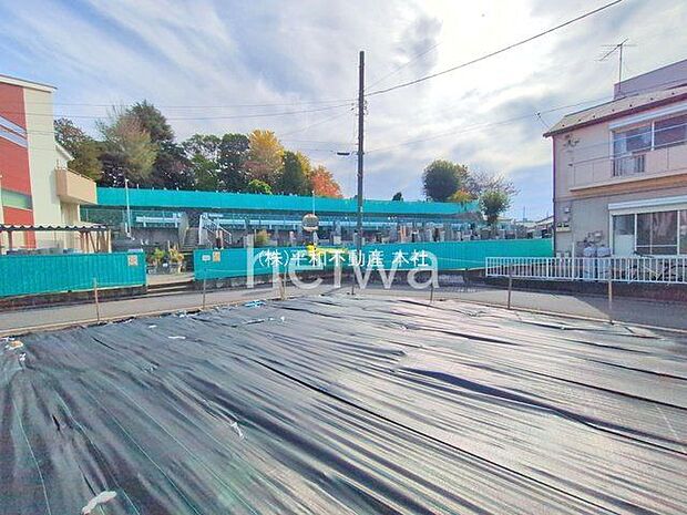 撮影日(2025-11-12 00:00:00)