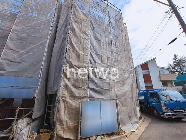 撮影日(2026-03-17 00:00:00)