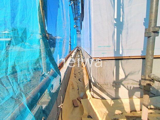 撮影日(2025-12-01 00:00:00)