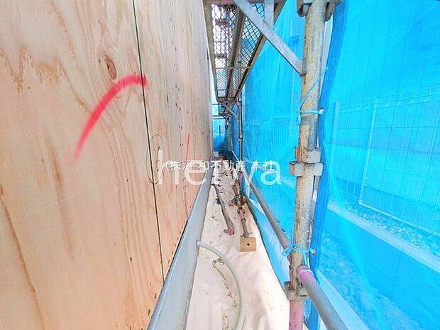 撮影日(2025-11-27 00:00:00)