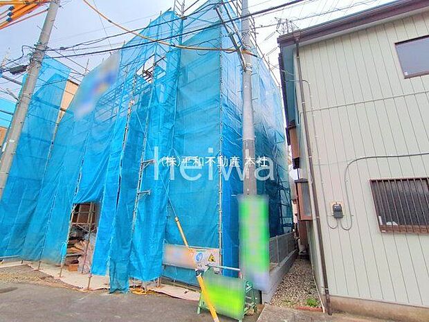 撮影日(2025-11-27 00:00:00)