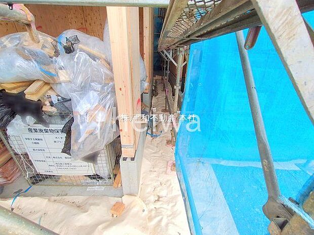 撮影日(2025-11-27 00:00:00)